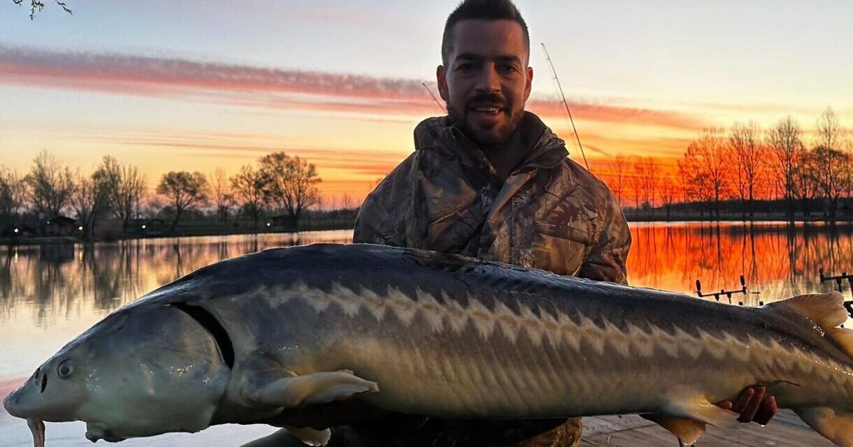 Fradi&#39;s national team flashes with giant fish