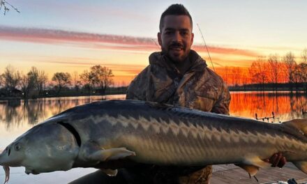 Fradi&#39;s national team flashes with giant fish