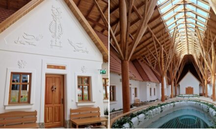 One of the most beautiful elementary schools in the country was built in Biatorbágy (video)