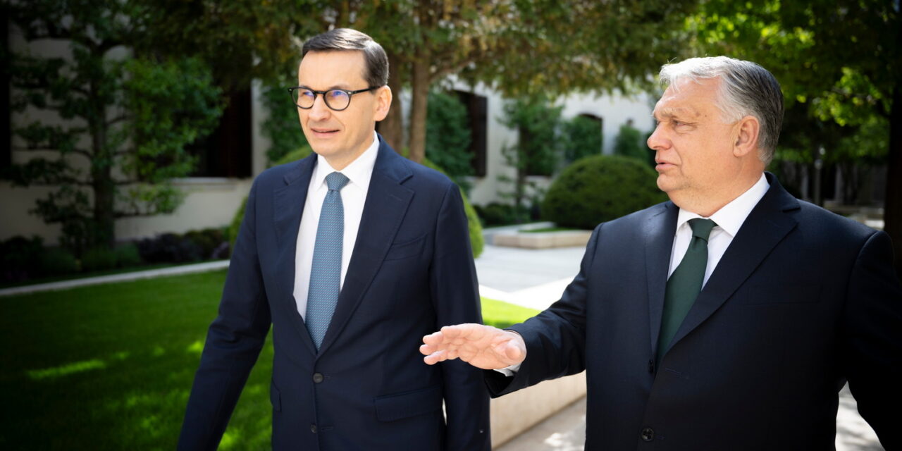 Anche il PiS si unisce alla fazione di Orbán?