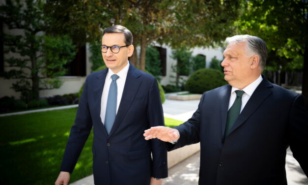 A PiS is Orbánék frakciójába tart?