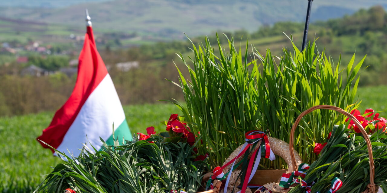 Red-white-green ribbon consecration of wheat in the heart of Mezöség
