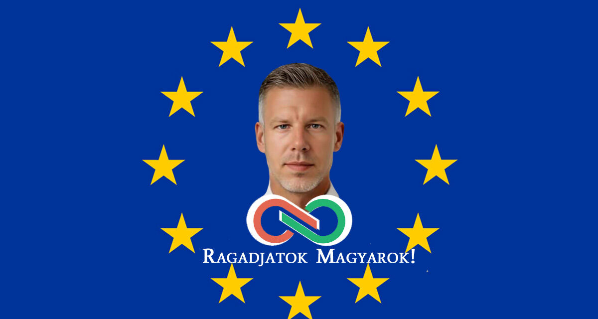 György Tóth Jr.: Ich empfehle mich selbst, ich würde auch EP-Vertreter in einer Partei sein