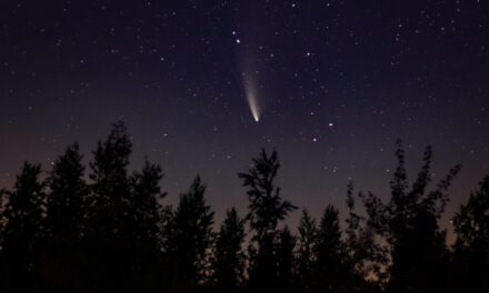Kometa roku pojawi się na niebie dziś wieczorem