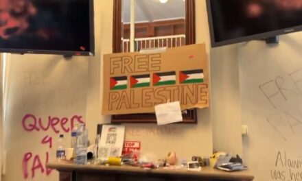 Sogar dem liberalen Rutte gefällt das, was die pro-palästinensischen Demonstranten tun, sehr gut – MIT VIDEO