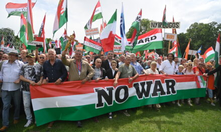 Stań na nogi! Cywile wzywają do zorganizowania kolejnego Marszu Pokoju