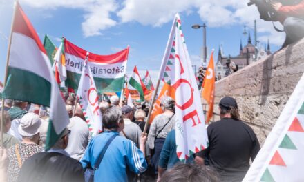 That&#39;s how many people were at the Peace March - WITH VIDEO