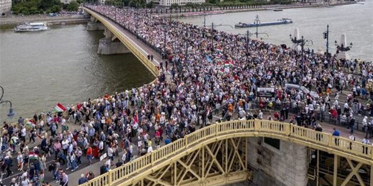 Now one of our readers is demanding a Peace March for themselves - do you agree?