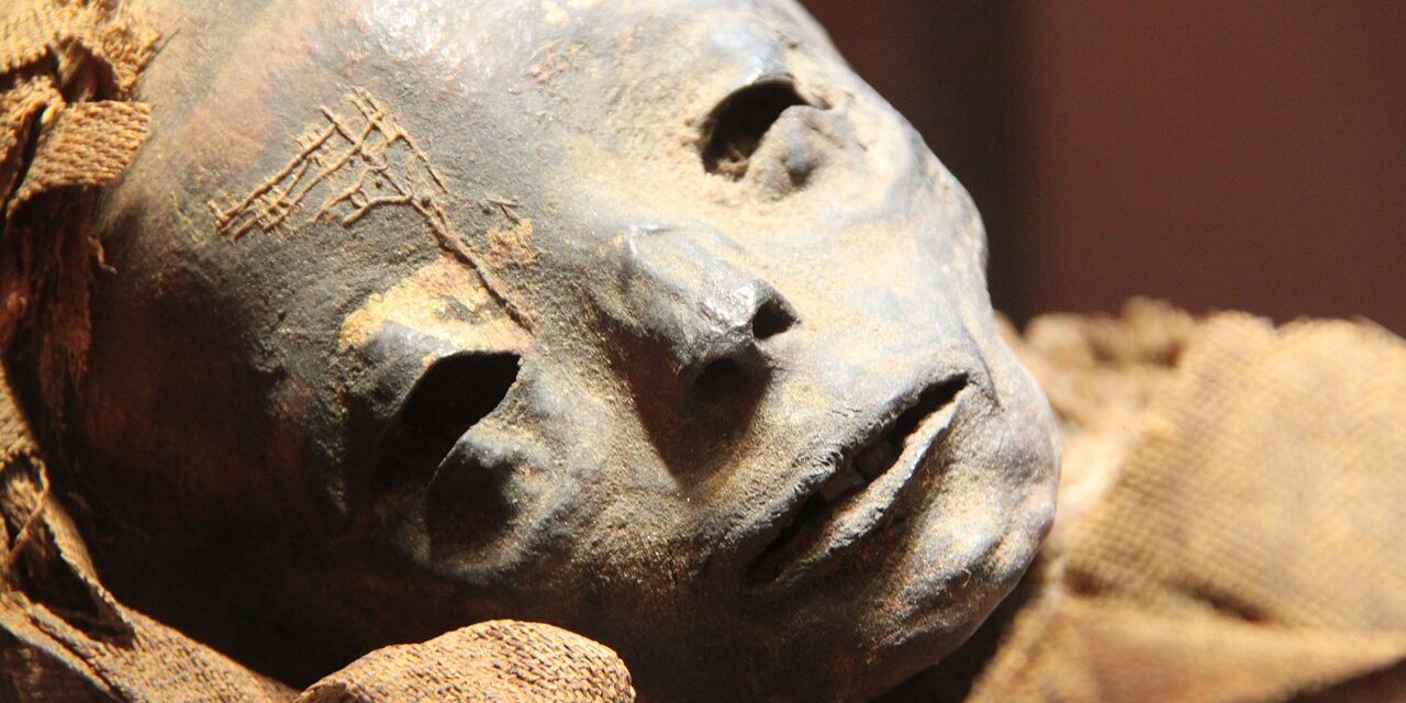 The Egyptians already operated on brain tumors 5000 years ago