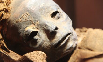 Gli egiziani già operavano di tumori al cervello 5000 anni fa