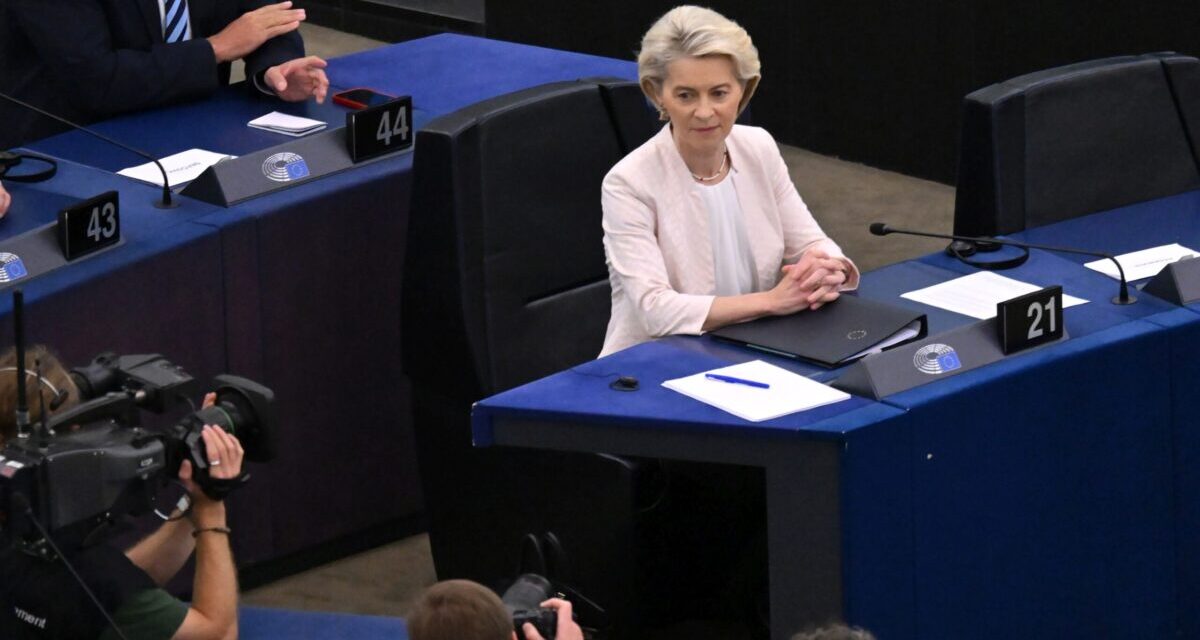 Despite being the voice of common sense, they still voted to shake up Von der Leyen