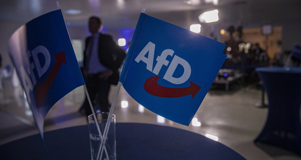 An AfD faction is formed in the EP, to which the Hungarian party also joins