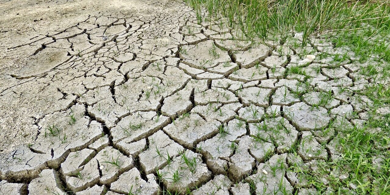 Instytut Polityki Klimatycznej: obecne fale upałów będą należeć do słabszej kategorii