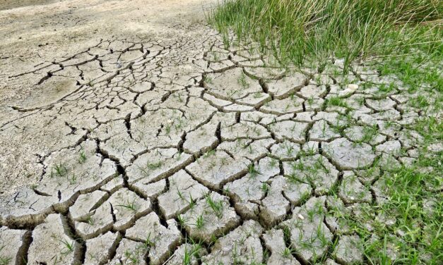 Vengono lanciati cinque progetti campione per trattenere l&#39;acqua