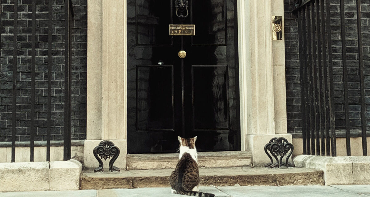 Macskajaj a Downing Streeten: Larry fénykorában még Trumppal is kibabrált (videó)