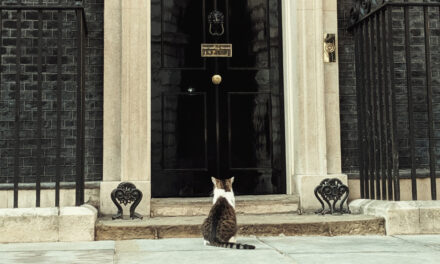 Discorsi tra gatti a Downing Street: Larry ha persino flirtato con Trump nel suo periodo migliore (video)