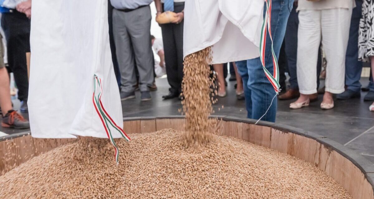 The Bread of the Magyars is not a program, but the real Hungarian feeling of life