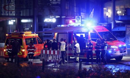 Durante un festival in Germania ha avuto luogo un attentato terroristico in cui sono morte almeno tre persone