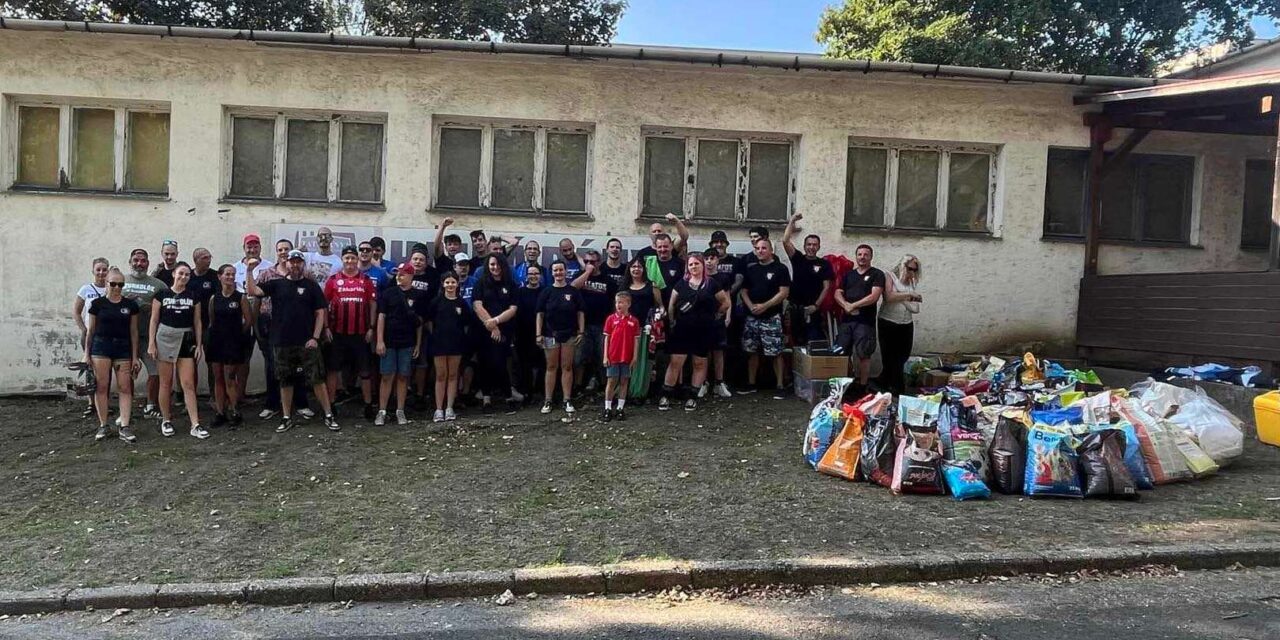 The soccer fanatics collected a thousand kilos of dog food for the NGO