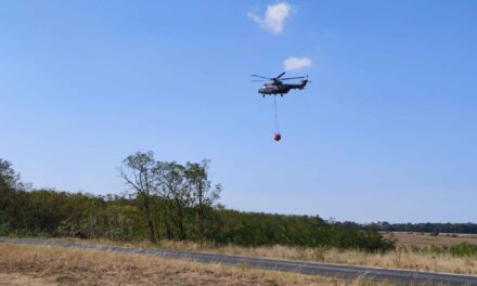 Le vittime degli incendi boschivi possono richiedere un importo significativo