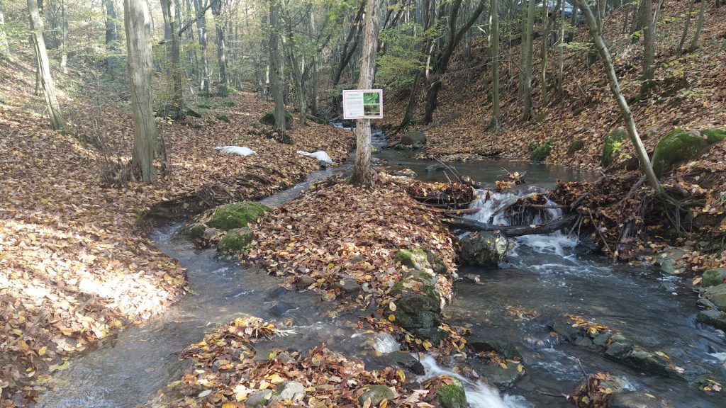 Schock, aber jemand hat wirklich einen Strom in der Mátra umgeleitet