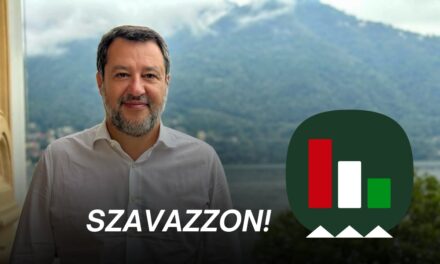 Votare! Siete d&#39;accordo che Matteo Salvini abbia protetto il suo Paese dall&#39;afflusso di migranti?