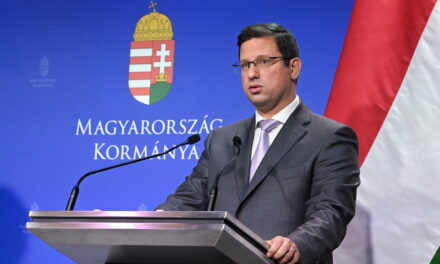 Gergely Gulyás: Brussels is not the solution, but part of the problem