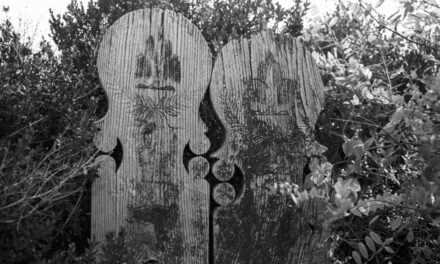 I nostri alberi con teste a forma umana sono i tesori unici del bacino dei Carpazi