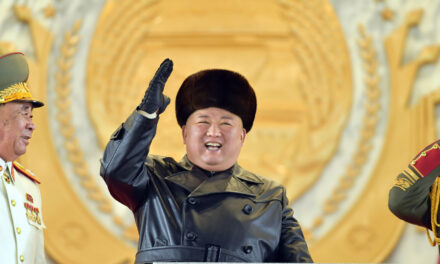 Are you sure that North Korean soldiers are preparing to overthrow the Ukrainian model democracy?