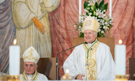 Pope Francis appoints a Hungarian archbishop as cardinal