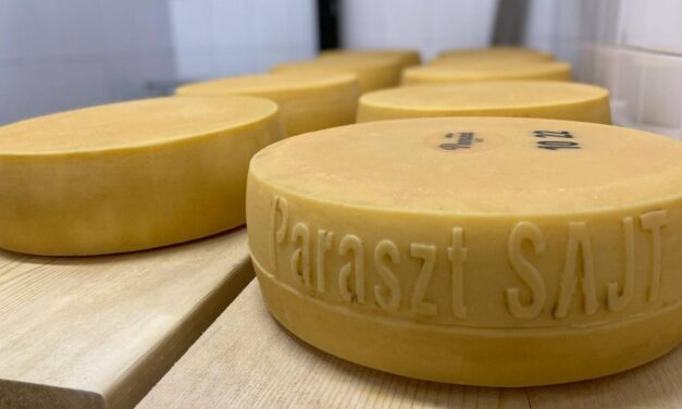 Svájcer Paraszt Sajt became the best Hungarian cheese this year