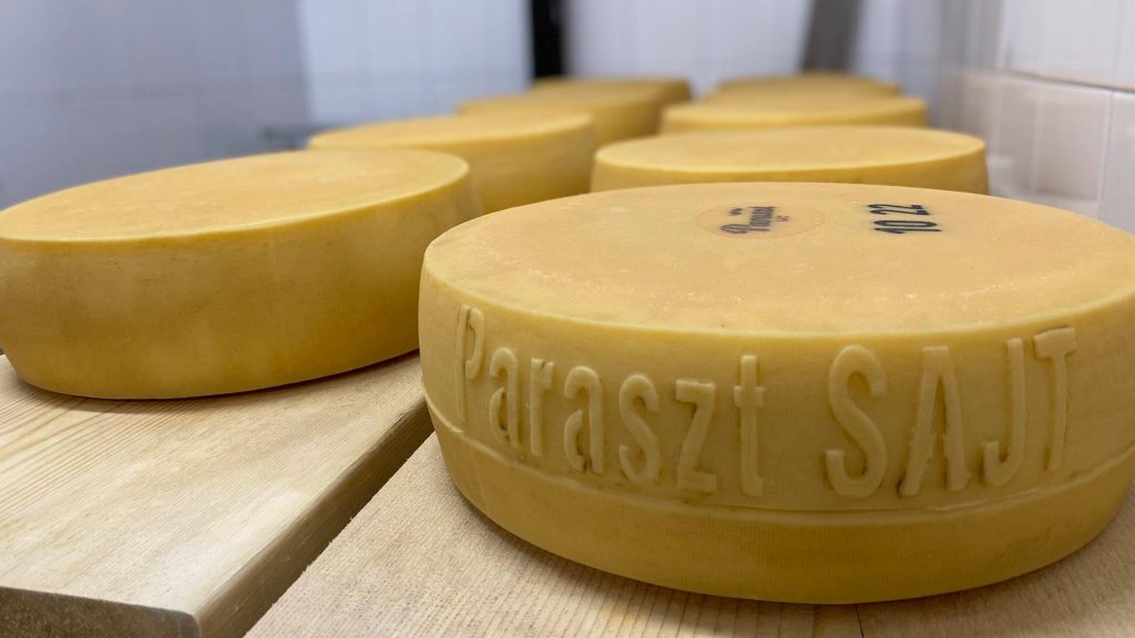 Lo Svájcer Paraszt Sajt è diventato quest&#39;anno il miglior formaggio ungherese