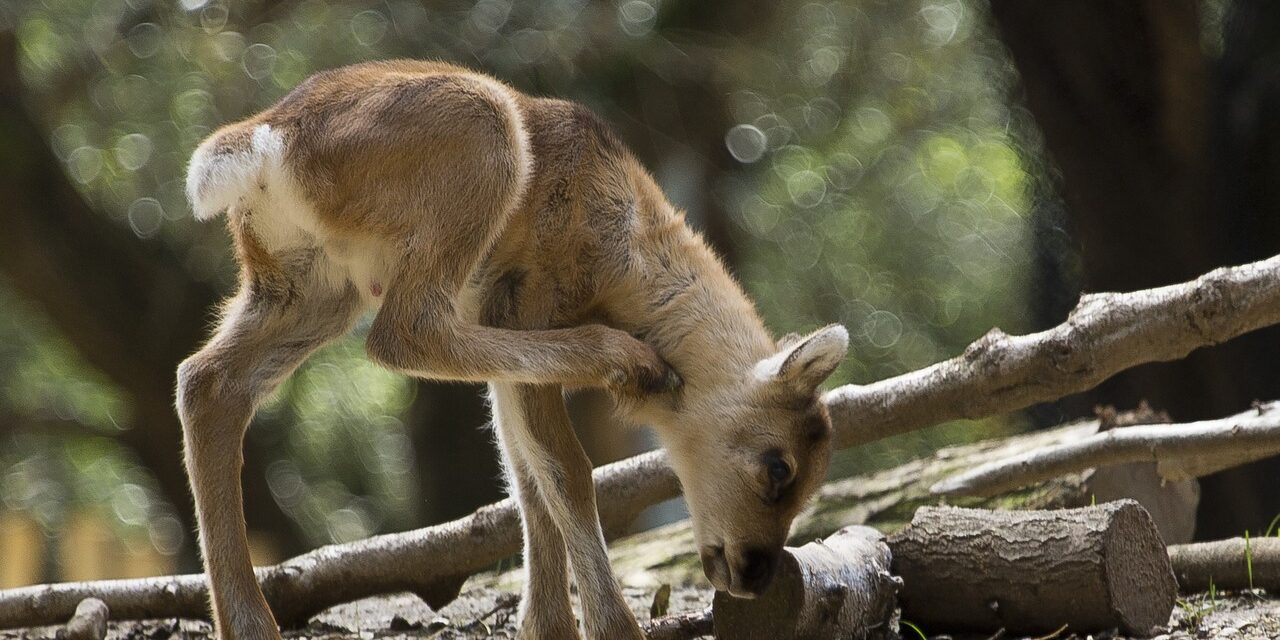 Machen wir uns bewusst, wie viele Wunder die Natur um uns herum birgt!