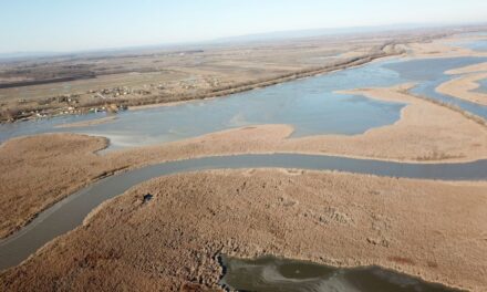 They drain Lake Tisza and adjust the winter water level in two stages