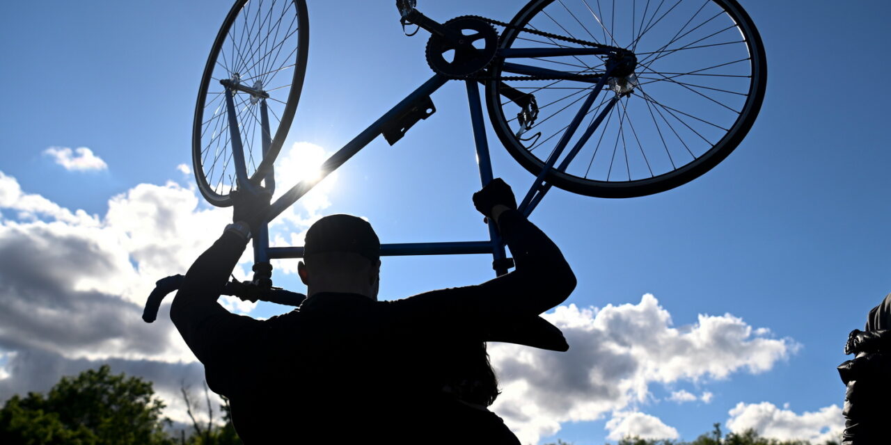 From the New Year, dog and bicycle transport in Budapest is free