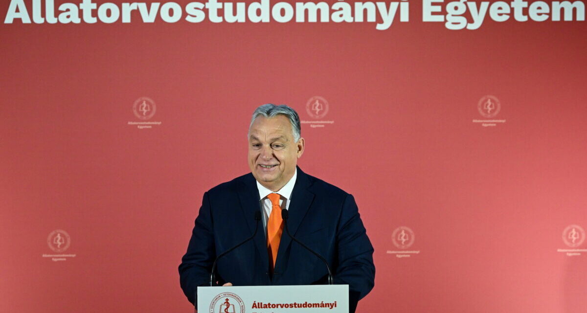 Viktor Orbán: Hungary wants to be connected to all the world&#39;s economic powerhouses