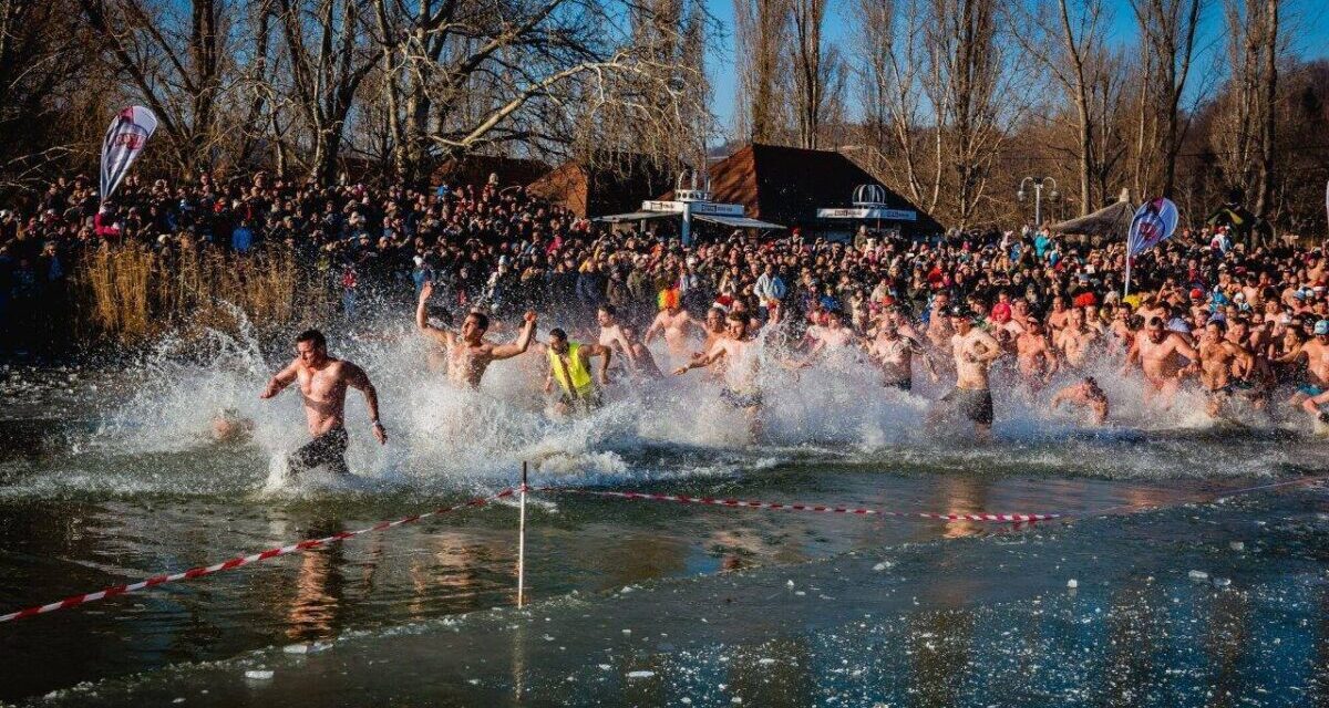 The Christmas tree is taken to Lake Balaton in Szigliget