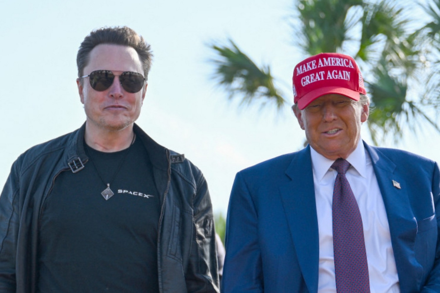 elon musk donald trump