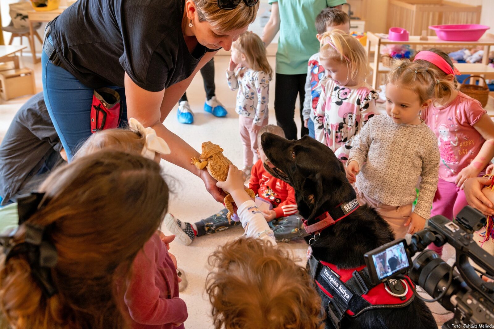 Közös ügyünk az állatvédelem 2