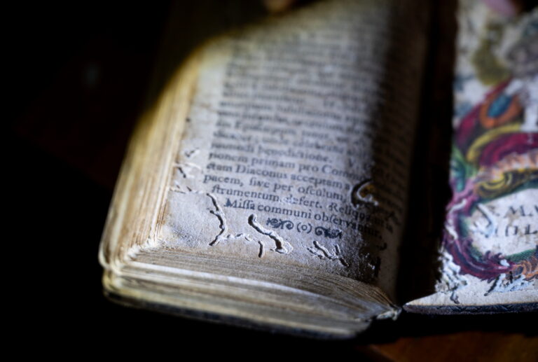 Pannonhalmi-Foapatsagi-Konyvtar-rovarkartevok