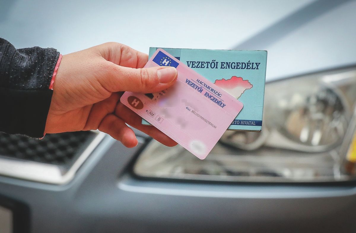 jogosítvány