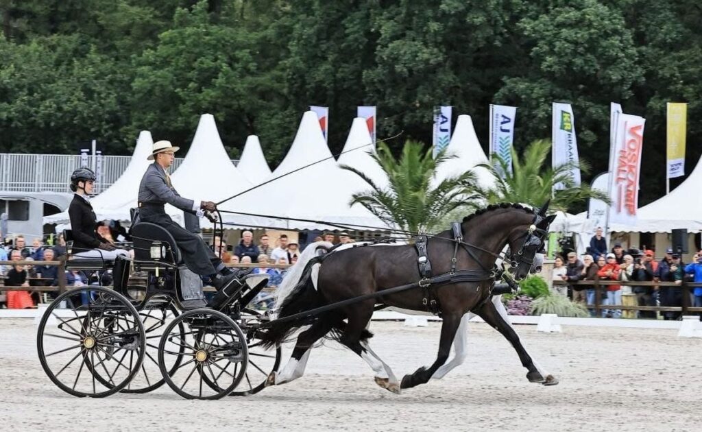 Hölle Martin kettesfogathajtó vb