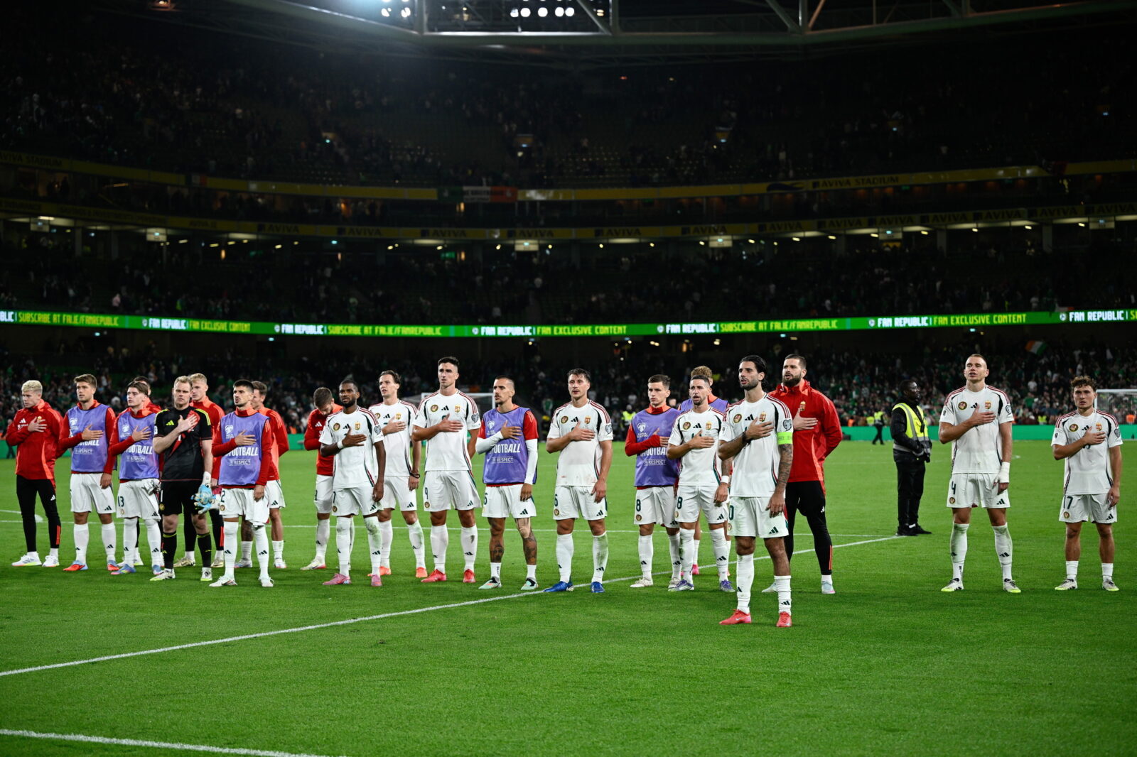 Labdarúgó vb-selejtezõk - Írország-Magyarország