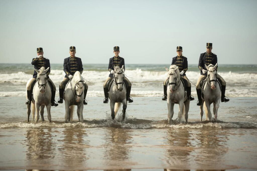 Magyar huszárok Észak-Afrikában magyar huszárok