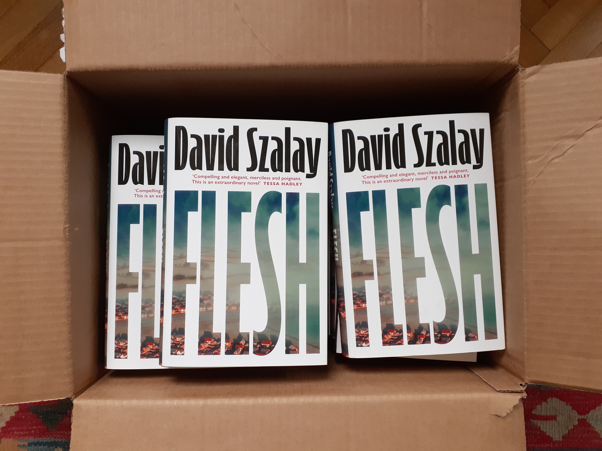 David Szalay flash