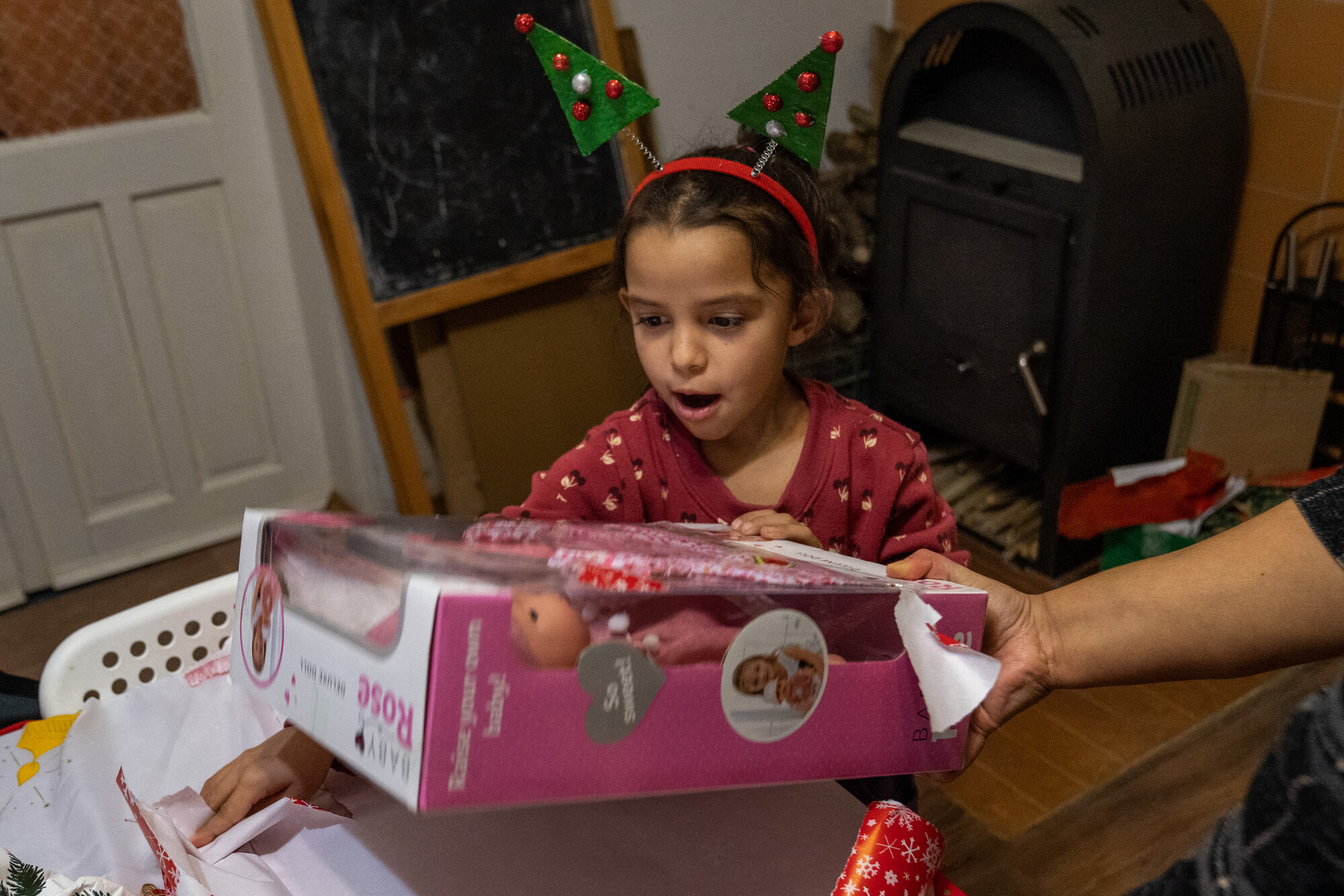 kislány-játék-máltaiak