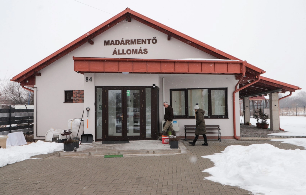 mályi_madármentő állomás