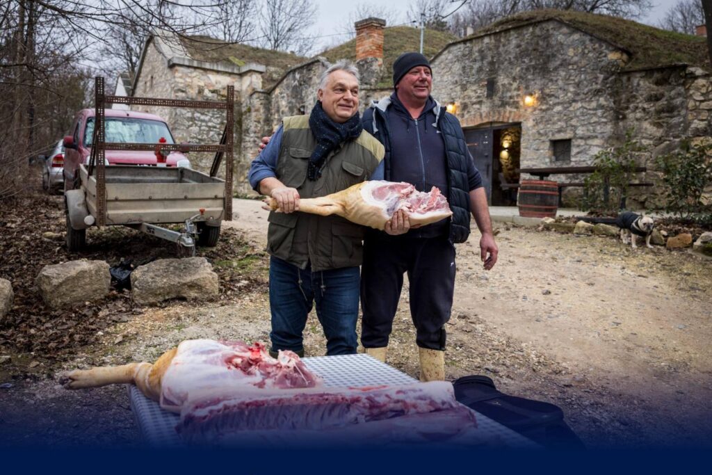 Orbán Viktor disznótor