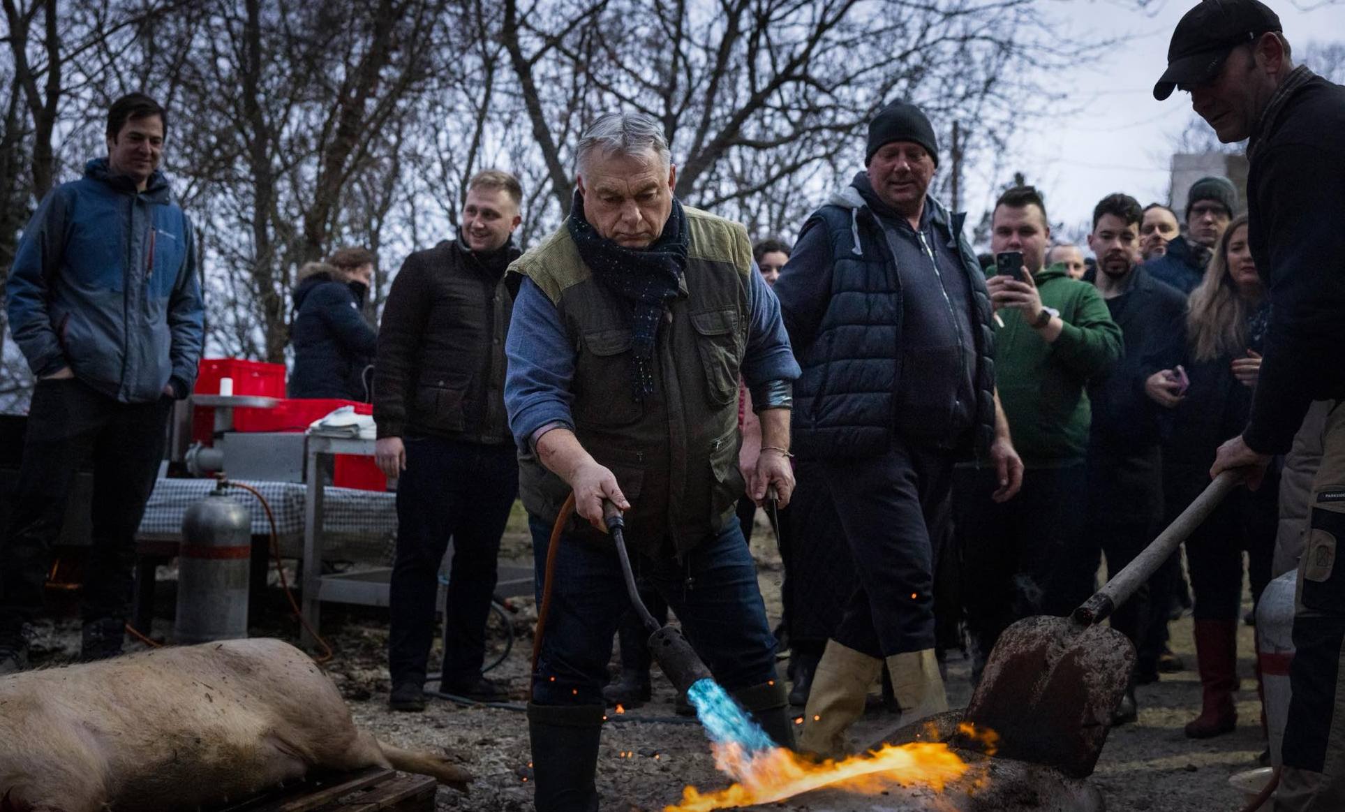 Orbán Viktor disznótor