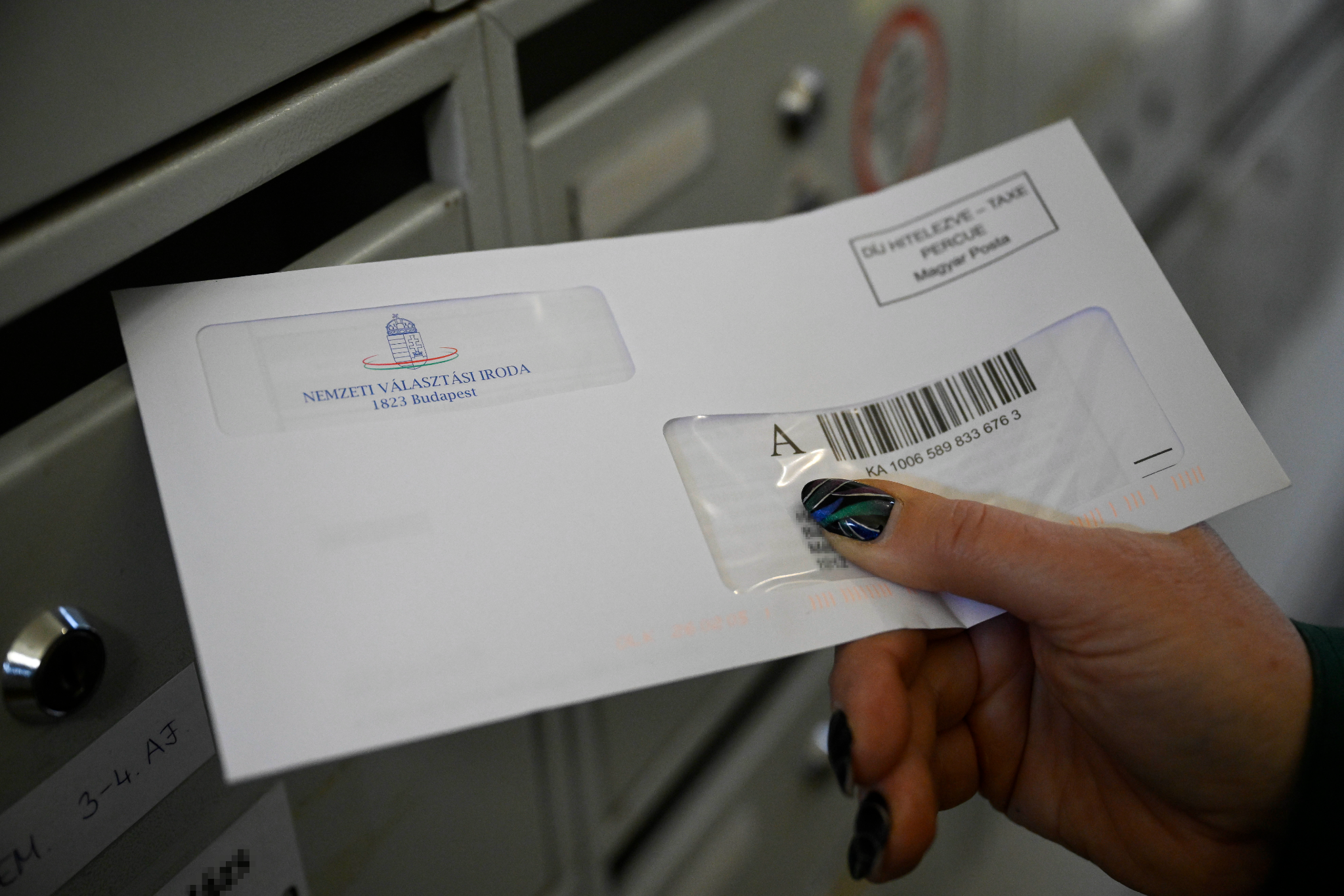 választási-értesítő